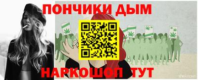 спиды Гатчина