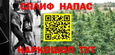 крисы Апшеронск