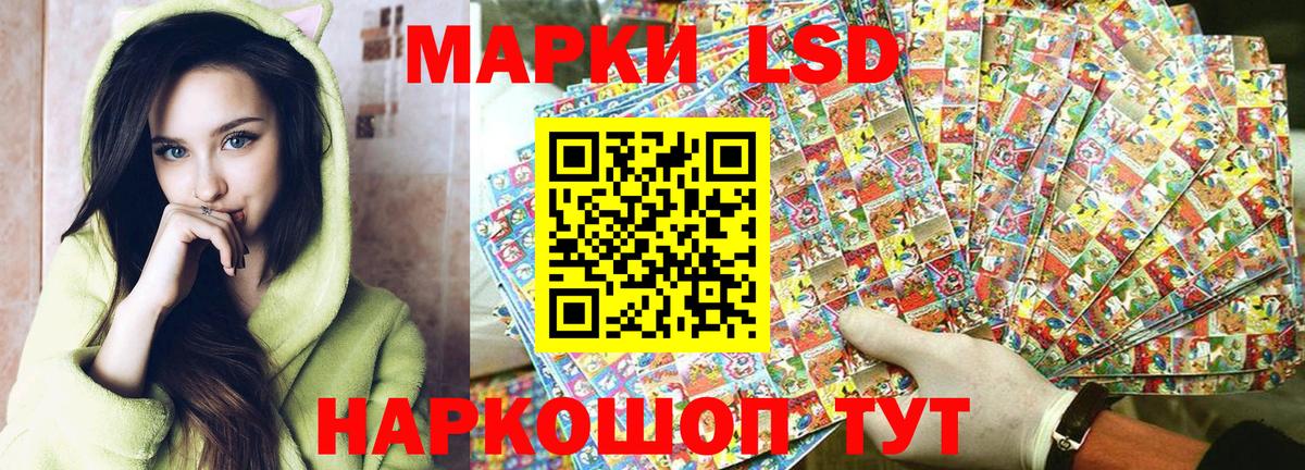 как найти   Марки NBOMe 1,5мг  Бердск  Вход с VPN  Марки NBOMe 1,5мг 