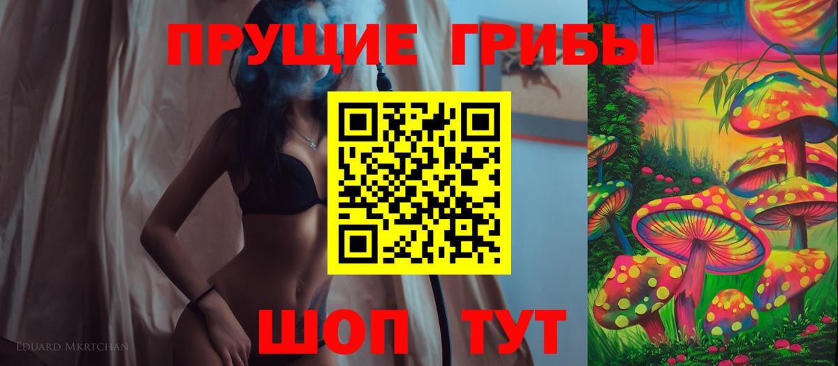 Псилоцибиновые грибы Cubensis Бердск