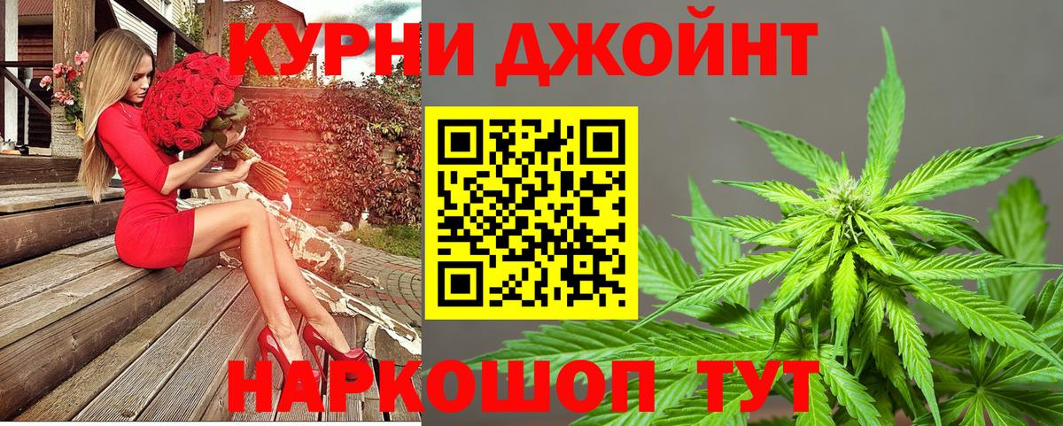 Конопля OG Kush Бердск